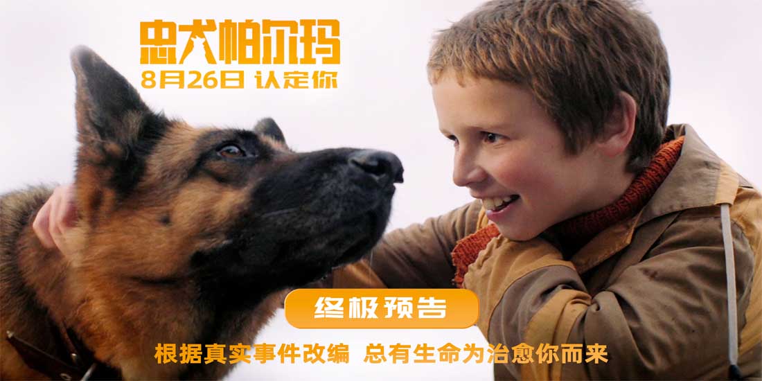 <b>电影《忠犬帕尔玛》发布终极预告826上映 总有生命为治愈你而来</b>