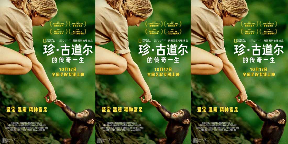 国家地理优质纪录片佳作《珍·古道尔的传奇一生》定档10月17日
