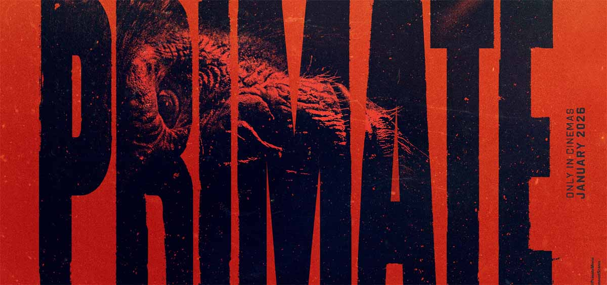 <strong>温顺宠物黑猩猩突然暴走？电影《猩疯血雨》（暂译）发布首支</strong>