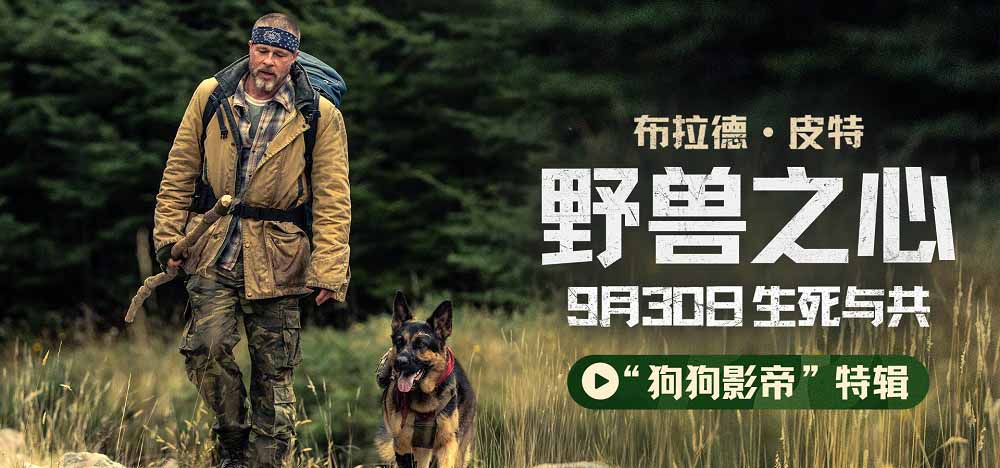 <strong>布拉德·皮特新片《野兽之心》发布“狗狗影帝”特辑 电影头号</strong>
