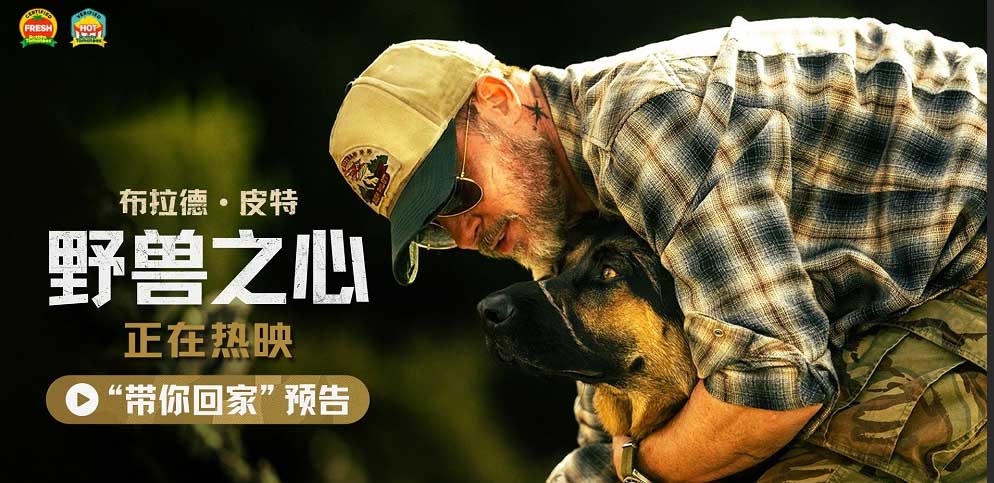 <strong>布拉德·皮特新片《野兽之心》今日上映 人犬情深奋力寻找回家</strong>